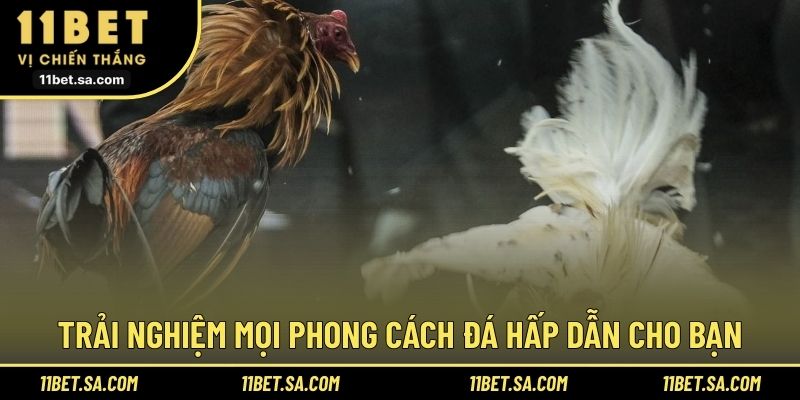 Trải nghiệm mọi phong cách đá hấp dẫn cho bạn