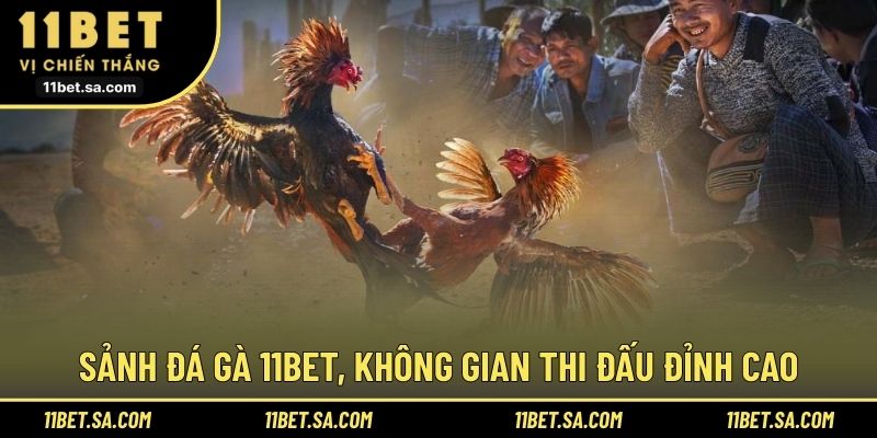 Sảnh đá gà 11BET, không gian thi đấu đỉnh cao