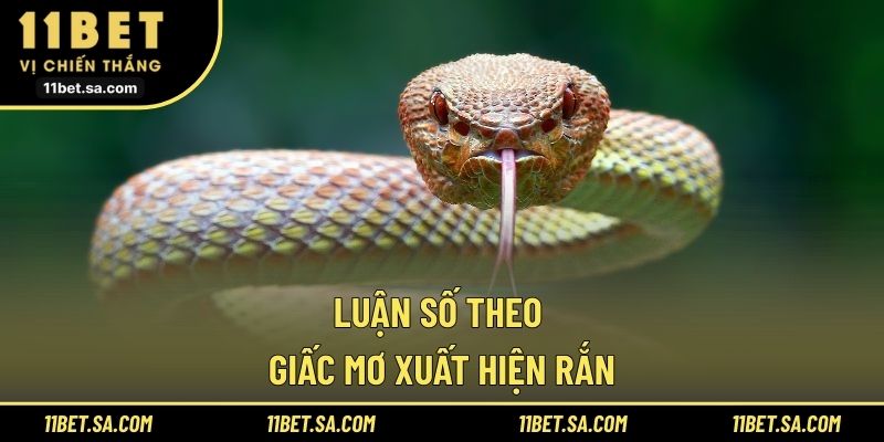 Luận số theo giấc mơ xuất hiện rắn
