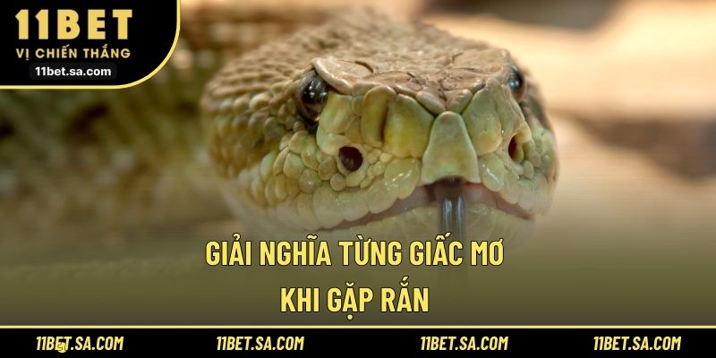 Giải thích từng giấc mơ khi gặp rắn