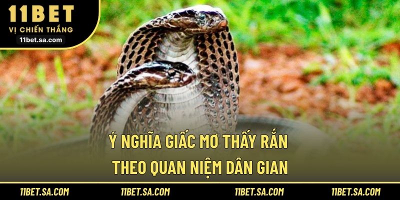 Giải thích giấc mơ thấy rắn theo niềm tin dân gian xưa